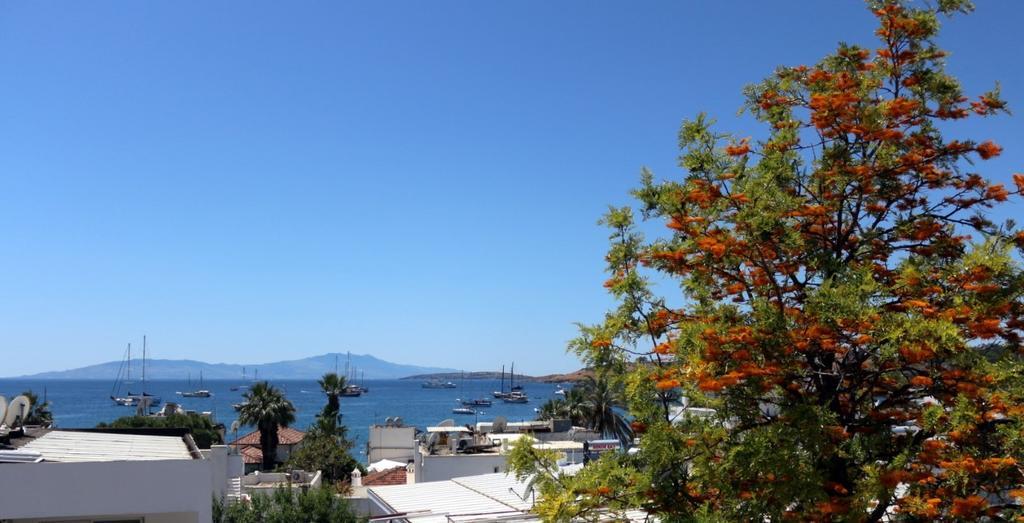Agan Pension Bodrum Kültér fotó