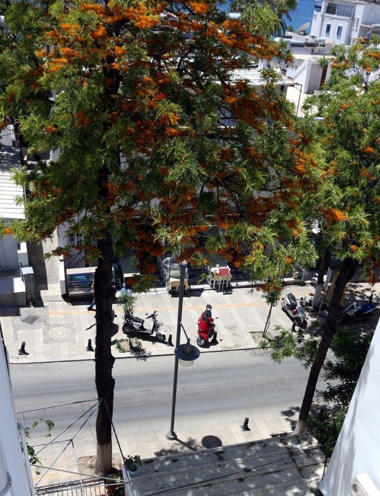 Agan Pension Bodrum Kültér fotó