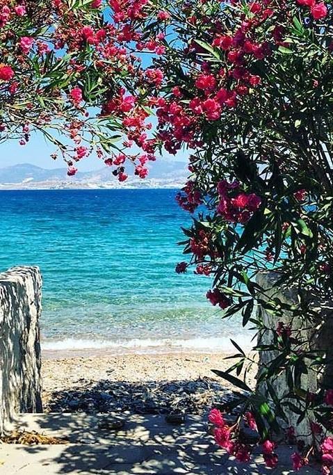 Agan Pension Bodrum Kültér fotó